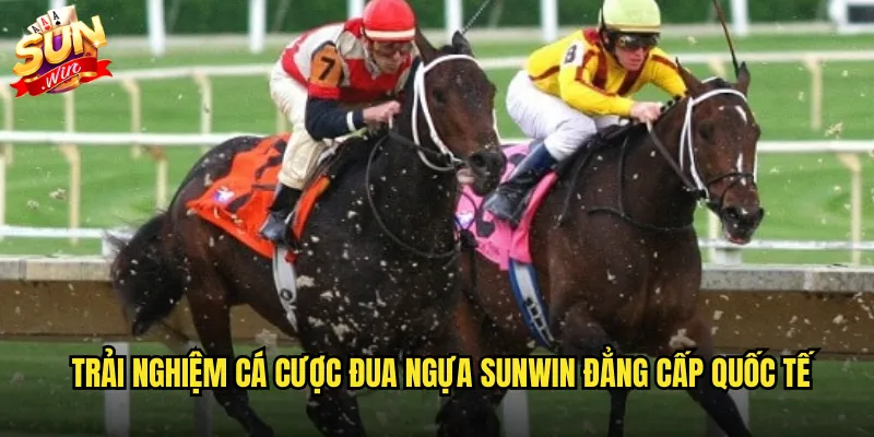 Đua ngựa sunwin với các trường đua danh tiếng thế giới 2 Trải nghiệm cá cược đua ngựa sunwin đẳng cấp quốc tế